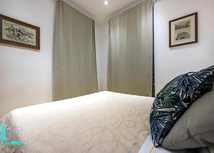 Trogoletto Tra I Rolli - Genovainrelax